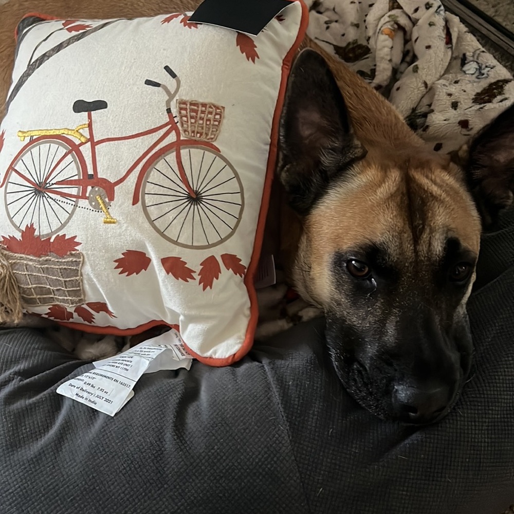 Fall pillow - Picture 4 of 4